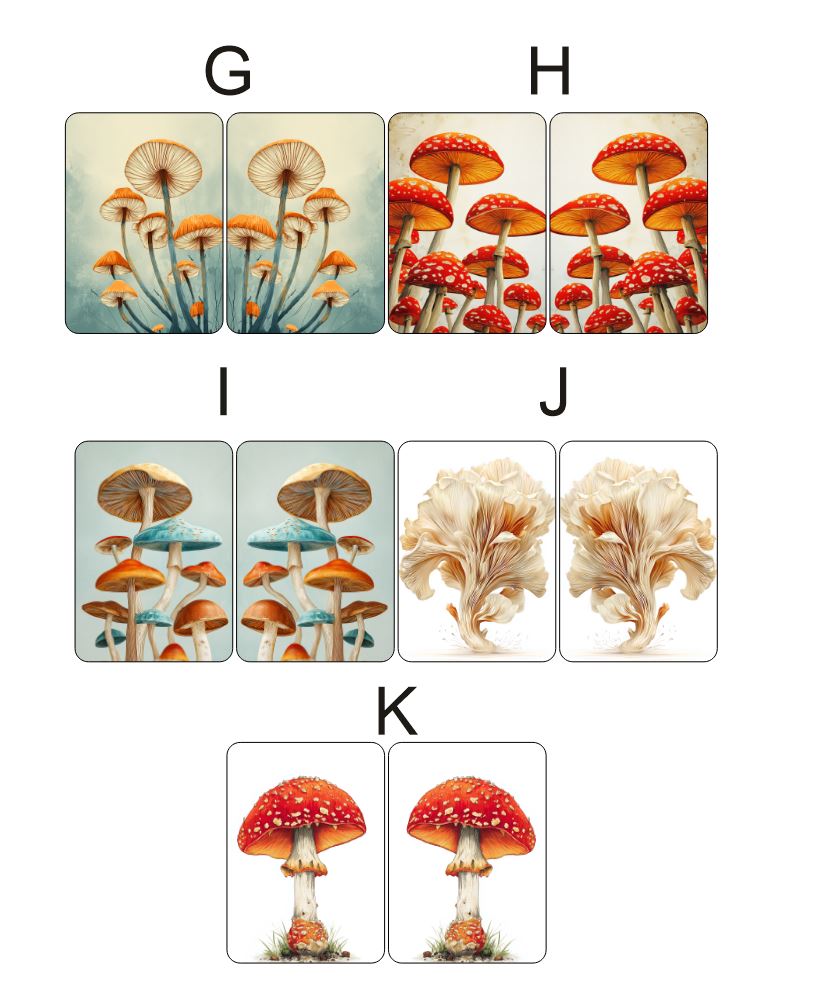 Fragile What | Mushroom Collection | #11x120