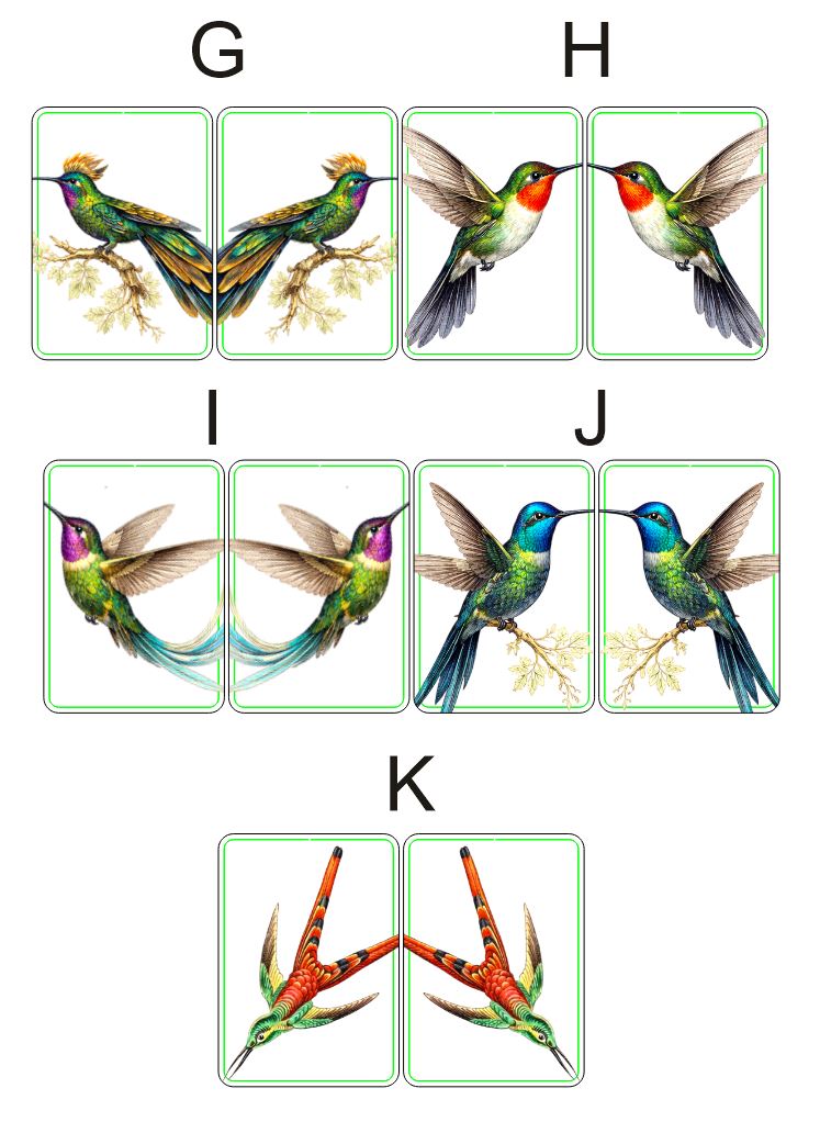 Fragile What | Haeckals Hummingbird Collection | #11x129