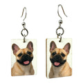 Fragile What | Small Dog Collection | 11x133