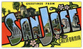Vintage San Jose Jigsaw Puzzle - 144PCS - #S661