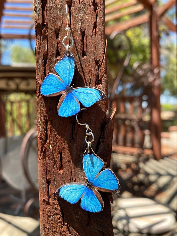 Blue Butterfly Earrings #1294